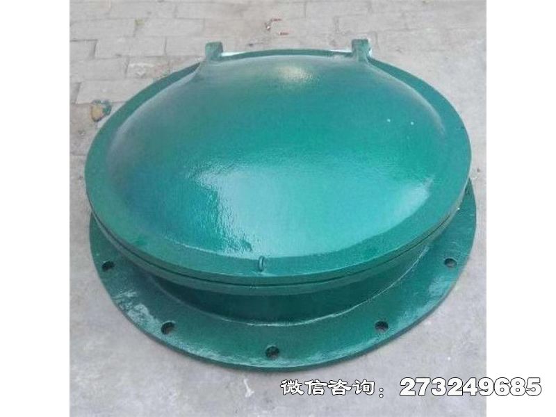 玻璃钢拍门