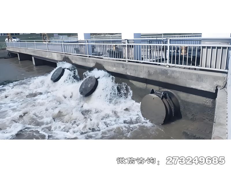 内河潮门拍门适用于内陆河流、湖泊周边及生态湿地，采用铸铁或复合材料，安装于内河泵站、生态补水口。内河航道管理局、生态保护机构常用，通过自动启闭调节水位，兼顾防洪、灌溉与生态补水。产品低水头损失设计保护水生生物，适配生态型河道建设需求。价格电议，支持生态兼容性定制及水力性能优化。