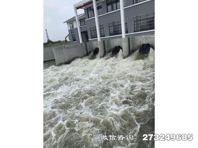 防潮堤潮门拍门用于沿海防潮堤、河口整治工程，采用铸铁或不锈钢材质，适配防潮堤排水孔与泄洪通道。防潮工程处、海洋工程公司常用，通过重力自动闭合抵御风暴潮与台风巨浪，保护堤内安全。产品可抵御强风冲击，适配极端天气频发地区。价格咨询厂家，支持防浪结构优化及抗风荷载校核。