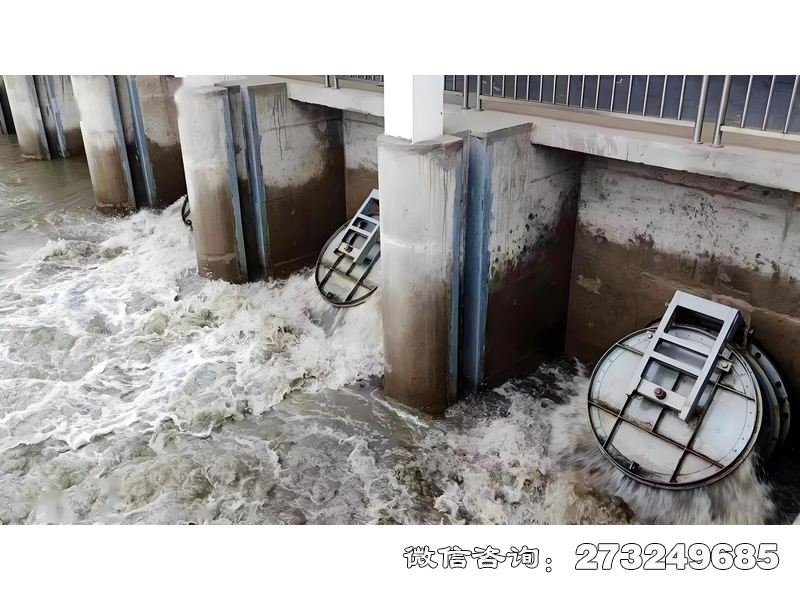 入海通道潮门拍门