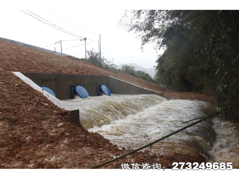 堤坝防潮拍门