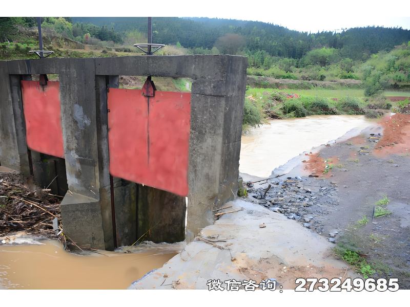 支渠分水闸